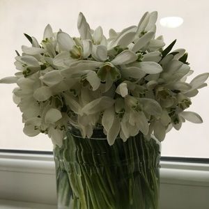 Meet your Posher, Erika